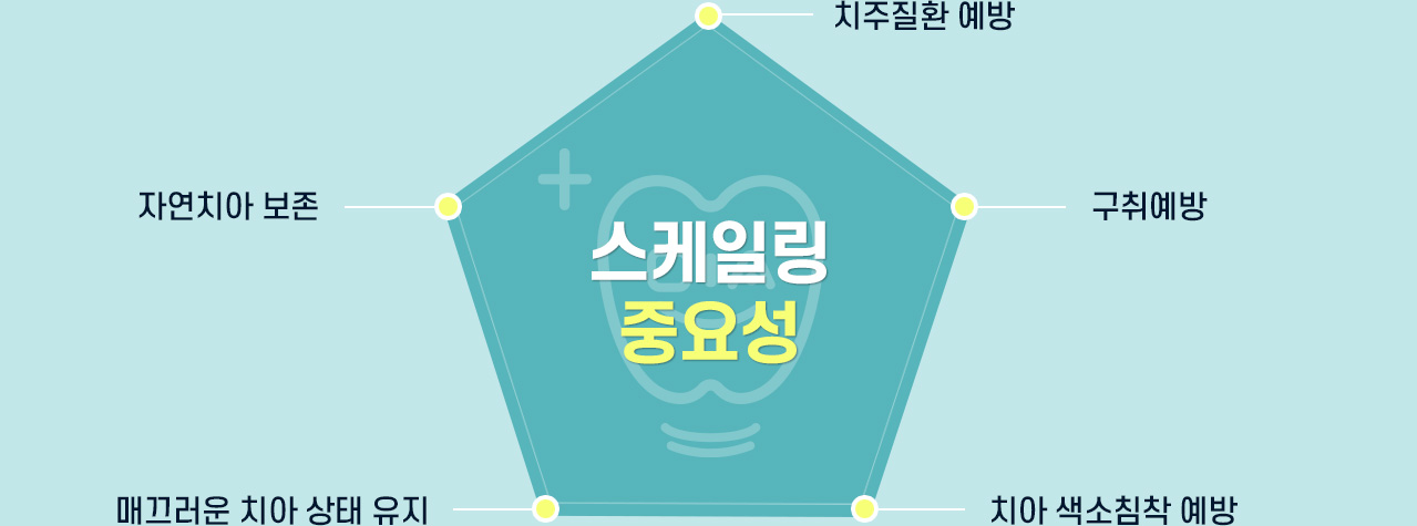 스케일링 중요성 - 치주질환 예방, 구취예방, 치아 색소침착 예방, 자연치아 보존, 매끄러운 치아 상태 유지